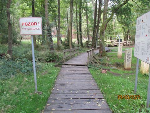 Foto 20